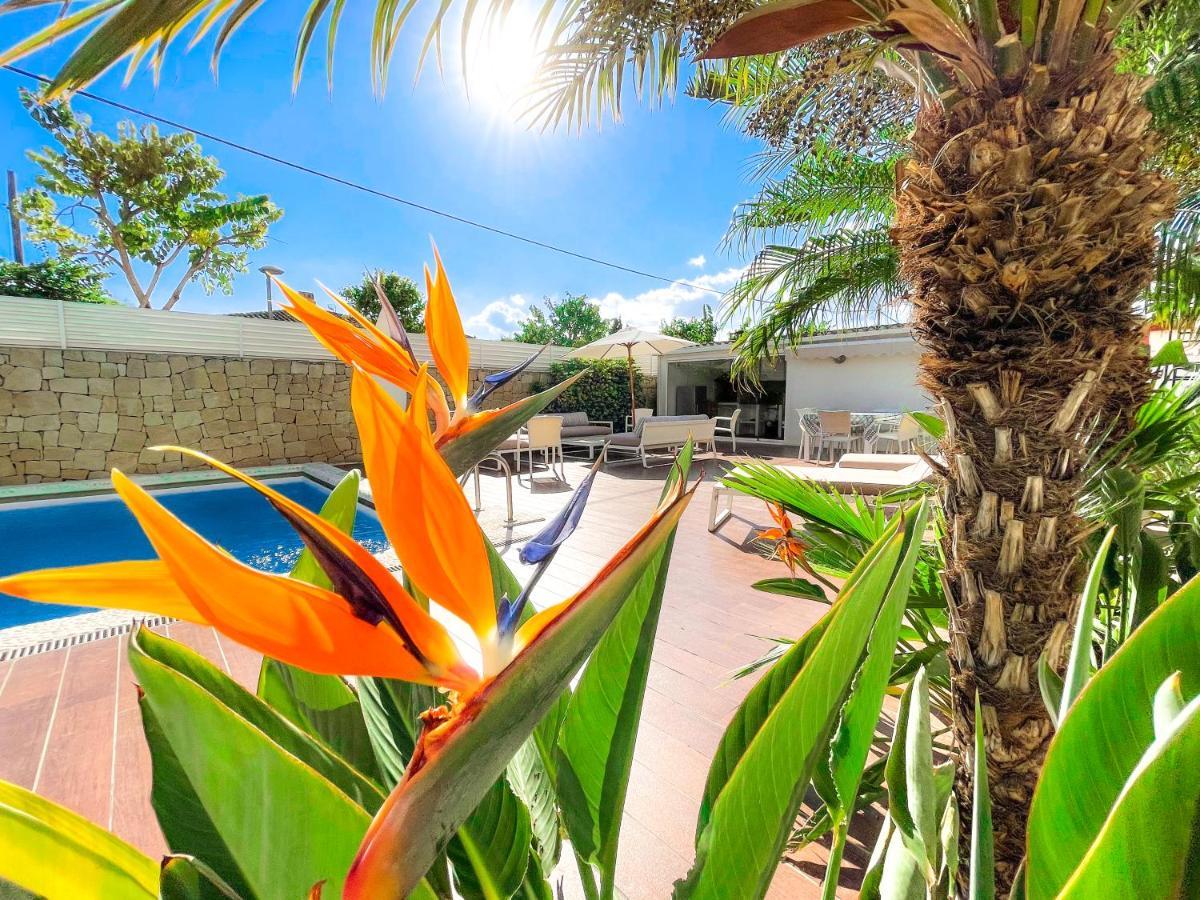 Villa Haygon Private Heated Pool, Bbq & Sauna San Vicente Raspeig Exterior foto