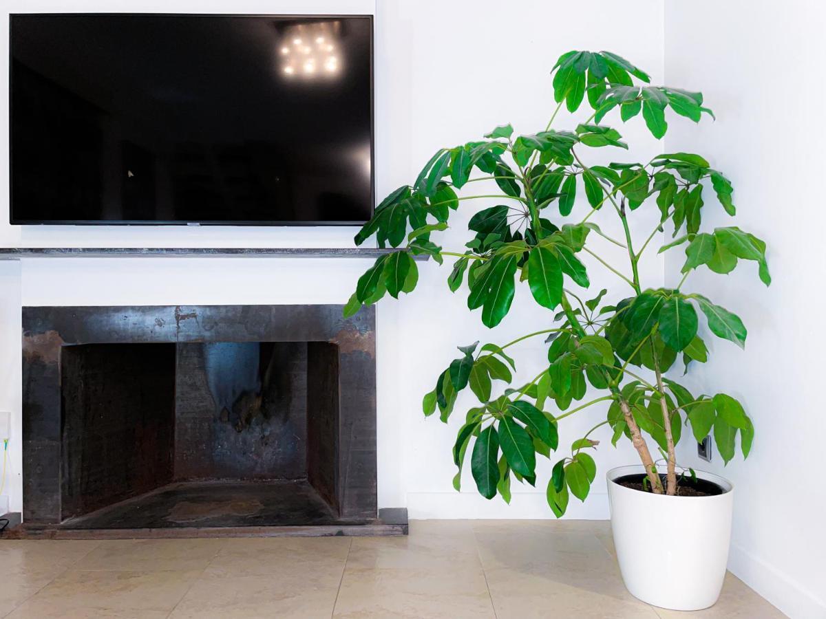 Villa Haygon Private Heated Pool, Bbq & Sauna San Vicente Raspeig Exterior foto